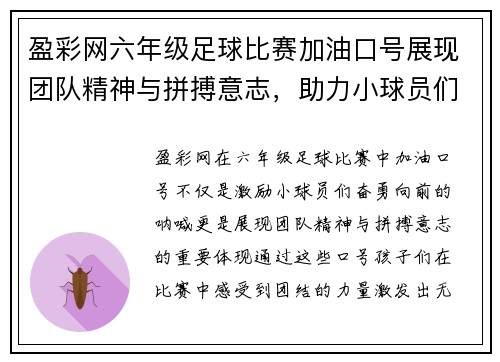 盈彩网六年级足球比赛加油口号展现团队精神与拼搏意志，助力小球员们勇往直前