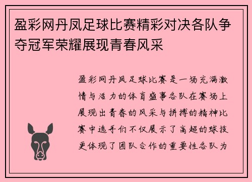 盈彩网丹凤足球比赛精彩对决各队争夺冠军荣耀展现青春风采
