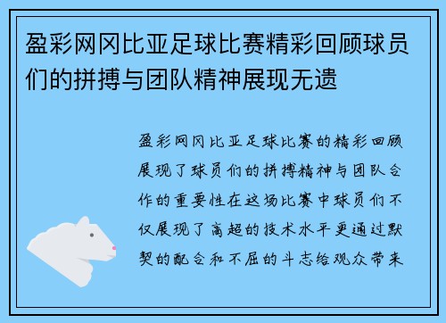 盈彩网冈比亚足球比赛精彩回顾球员们的拼搏与团队精神展现无遗